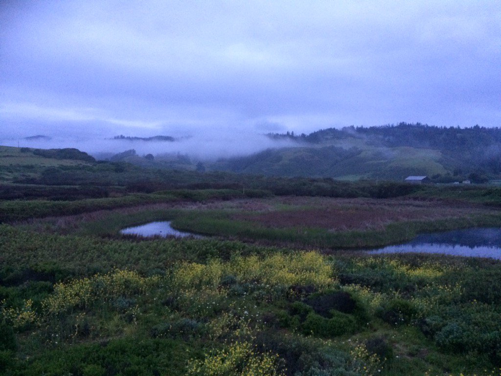 GeomorphologyDr's tweet photo. Scott Creek looking particularly picturesque this morning at 6:30am. #earlydropoff #santacruz16 https://t.co/hFGoKgtFEB