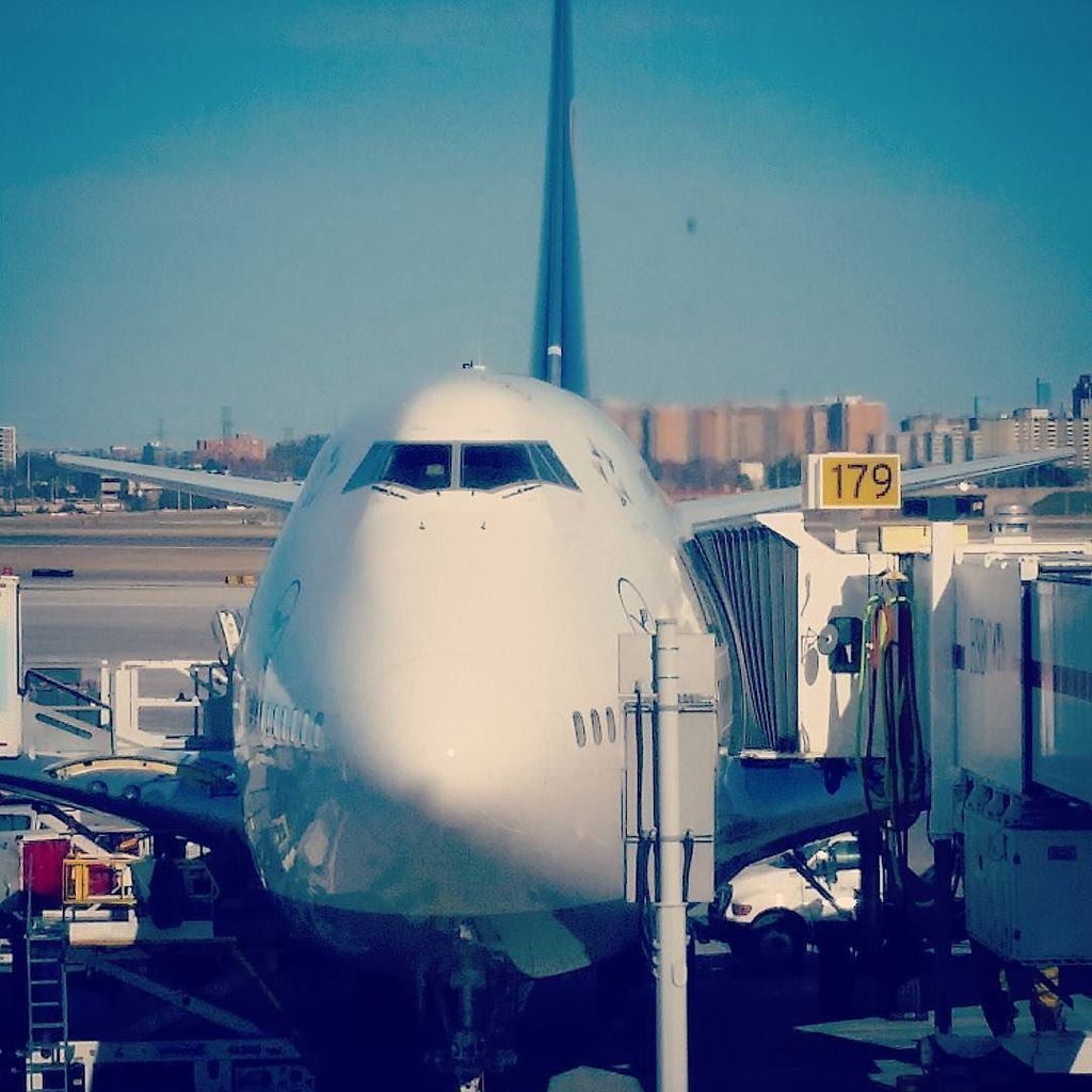 jacobvvz's tweet photo. By will_prentice on Instagram: She's a big girl ☺😄😯 #lufthansa #flythefriendlyskies #itsag… https://t.co/2AGABAR5yT https://t.co/OYG7SjT4XU