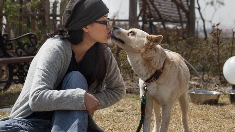 gambino_gm's tweet photo. @ekpics in #SouthKorea 2Sh👀t a New Documentary/Film #CompassionSoup To End #DogMeatTrade 📽https://t.co/6J5p4v10Mn 💔🐾 https://t.co/qvKASeLEGb