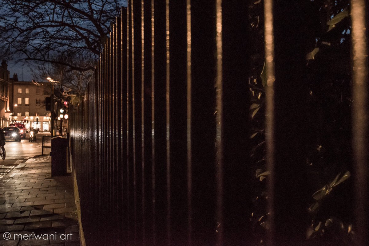 meriwaniart's tweet photo. Glowing fence @StreetersLDN @Londonist #London #photography #streetphotography #trees #pictures #timeoflives #fence https://t.co/ONYlV5To2u