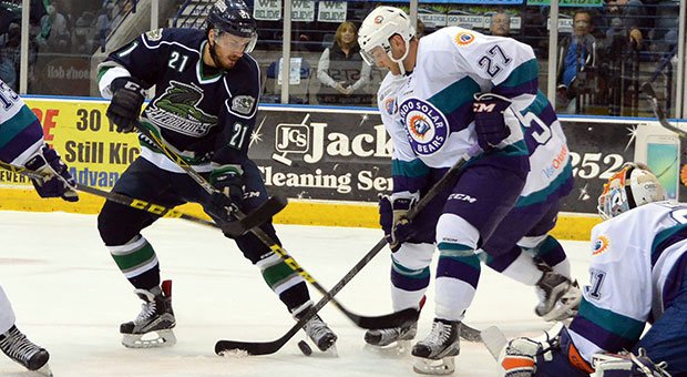 Orlando Solar Bears tweet media