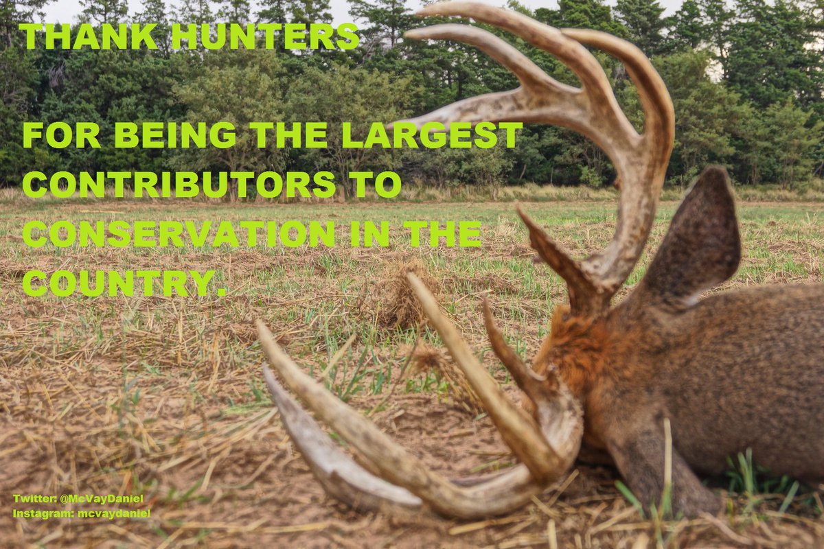 Thank a hunter. #hunting #deer #turkey #outdooredge #lakewoodproducts #beararchery #cva #iamsportsman #buckventures