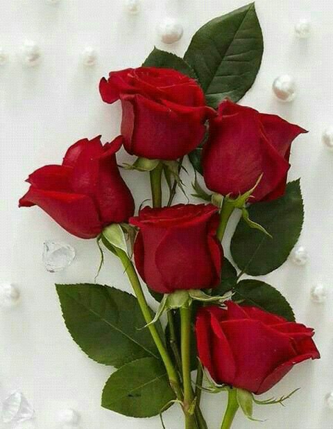 karadas106's tweet photo. https://t.co/mv0BZ15G2g