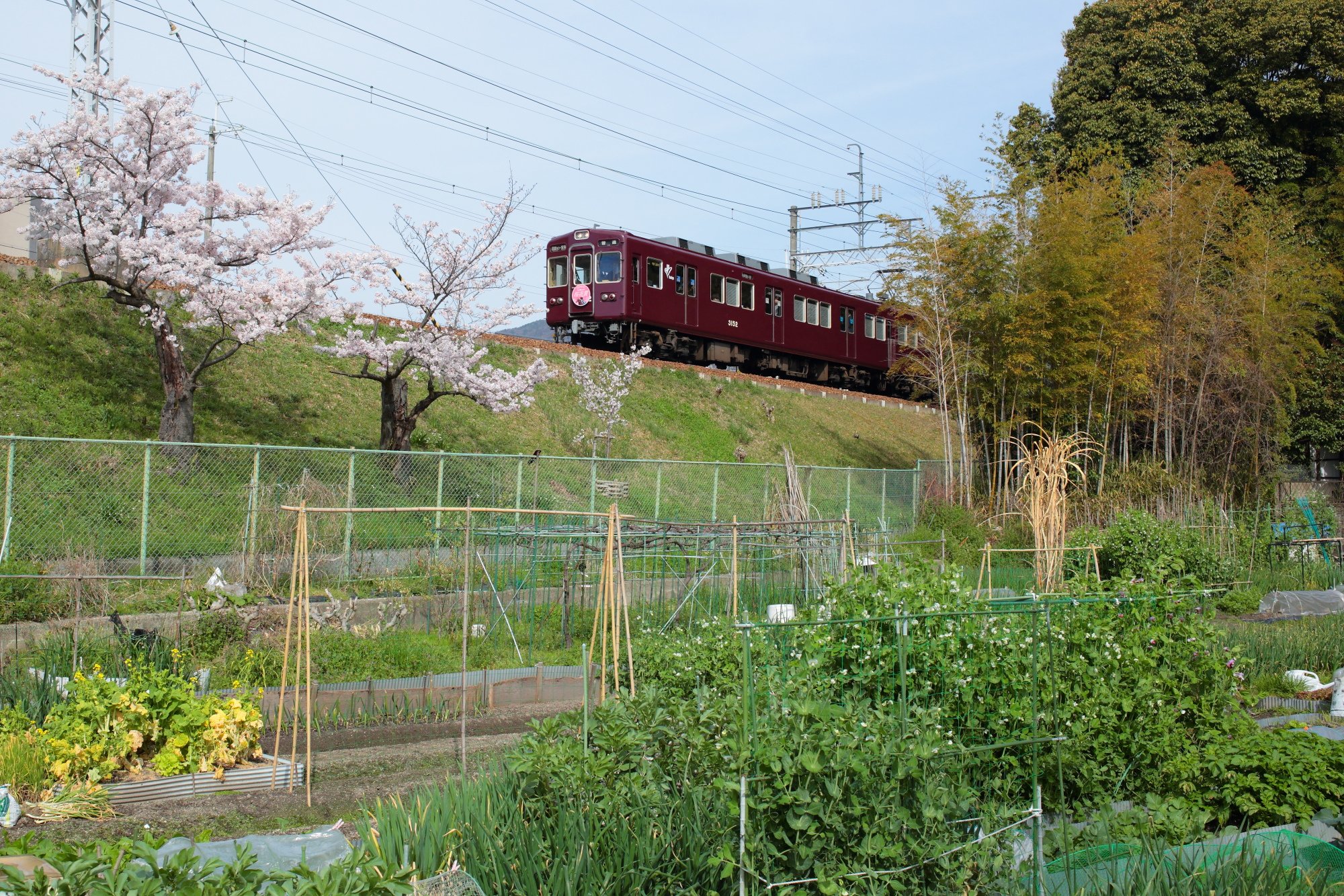 阪急電鉄 公式 今日は阪神競馬場でgiレース 桜花賞 が開催されますね 電車にはヘッドマーク掲出中 桜花賞 は俳優の藤原竜也さんが表彰式プレゼンターをされるとか 詳しくはjraさんのページ T Co Ihu7uvuhof T Co X6p31u05gc