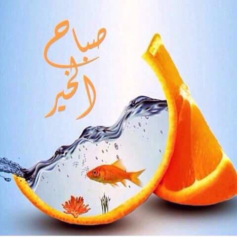 صباح...الحب ...
عندما نصنع في أفكارنا
يوماً جميلاً سيكون 
هذا اليوم فعلاً جميلاً
......
تطيب الحياة بقدوم الصباح