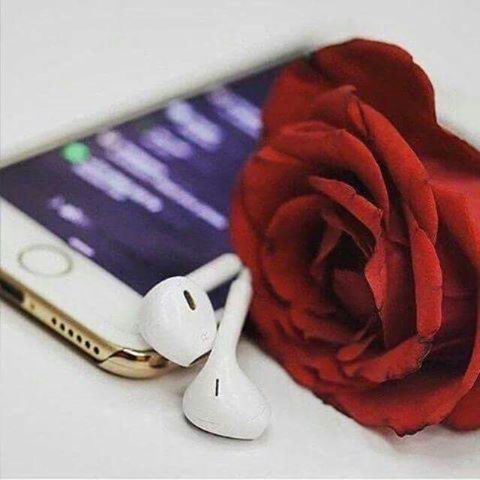 صباح الخير امنيات التوفيق 
Good Morning Best Wishes 
#تسمح_اقولك فالك خير 
#ابتكار #ابداع #الامارات #دبي