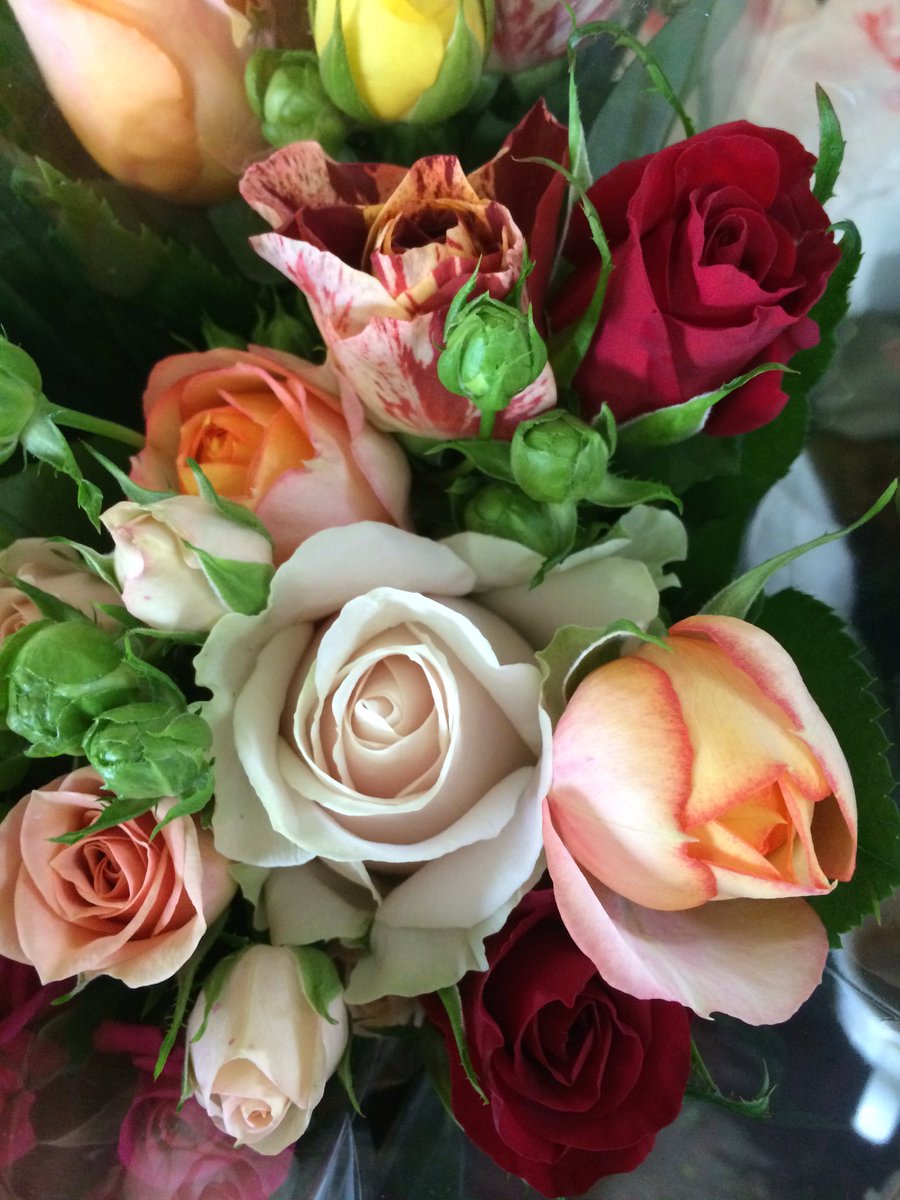 井上ばら園 Inouebaraen Twitter