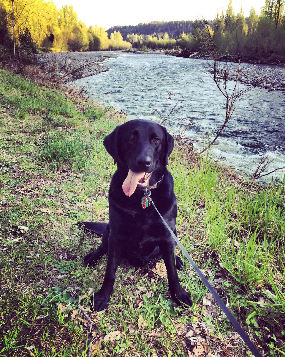 Kyle_Smith23's tweet photo. Life in the #PNW https://t.co/YhBoEGrCN2