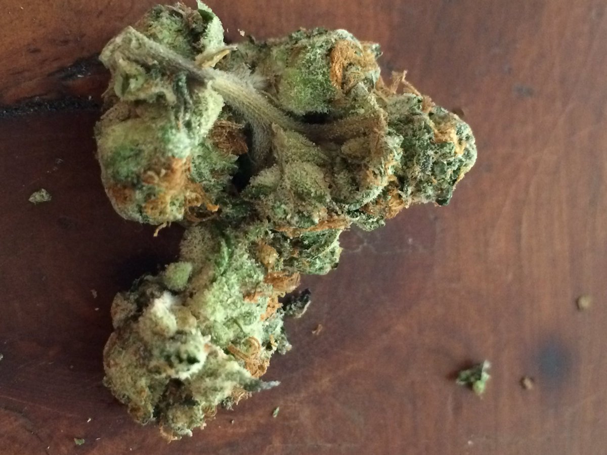 GhostTHC_ tweet picture