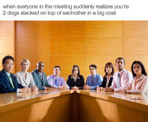 11_throwaway's tweet photo. #relatablepics https://t.co/0jzAtWTKEm