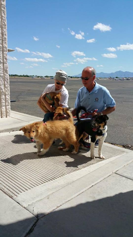 PilotsNPaws's tweet photo. A huge thx to PNP for helping us save 4 pups from a Korean Meat Market Shelter
https://t.co/le7uETcznz @BethStern_ https://t.co/n86xLso4k7