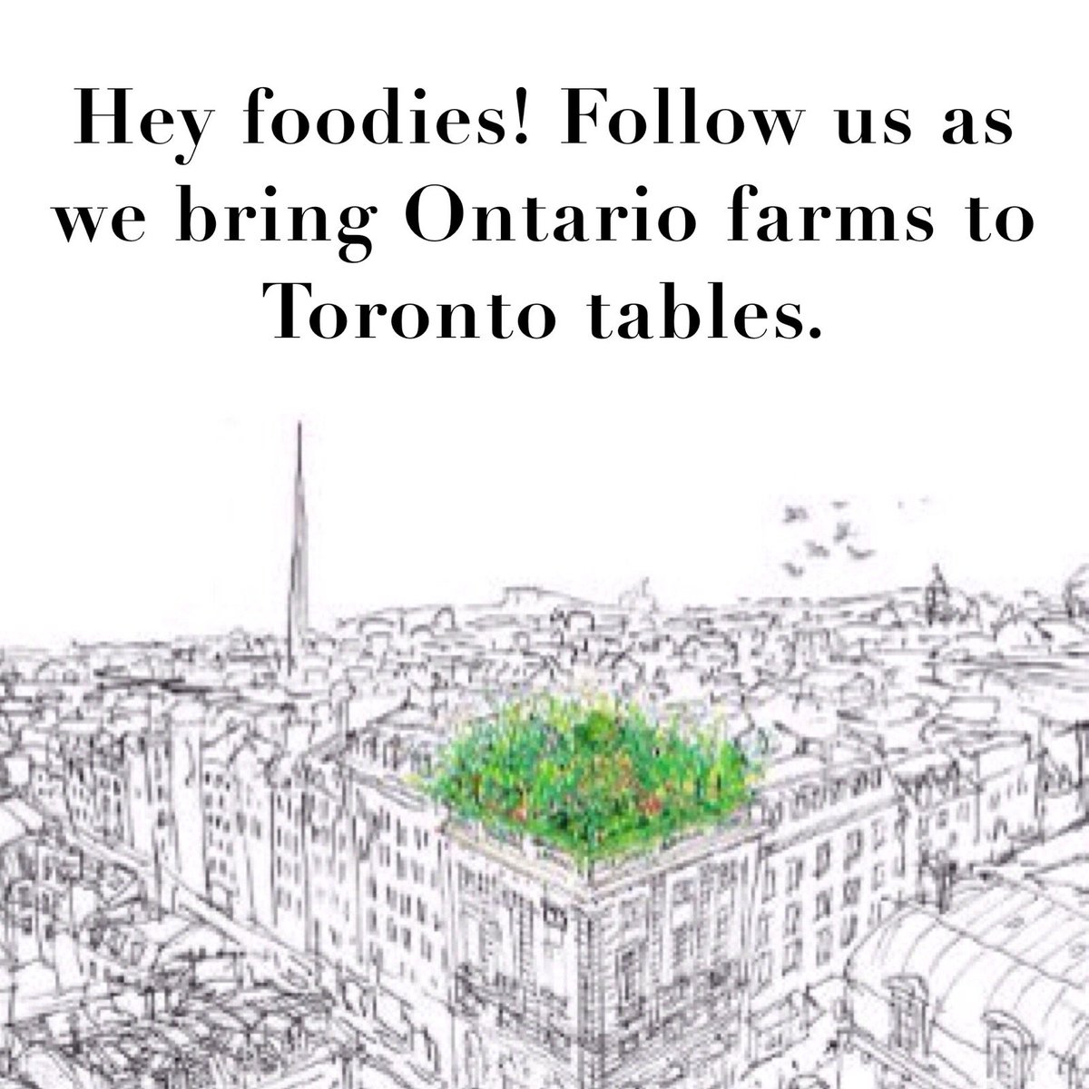 EatWellCanada's tweet photo. #FoodForThought #realfood #organic #foodies #farm2table #eatwell #locallysourced #Toronto #Ontario #Canada #the6ix https://t.co/Qzp37kKV0L