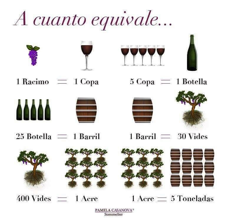 frida_vida's tweet photo. #vino vino de la vida 💜🍇🍷 https://t.co/PyqZhgIl8t