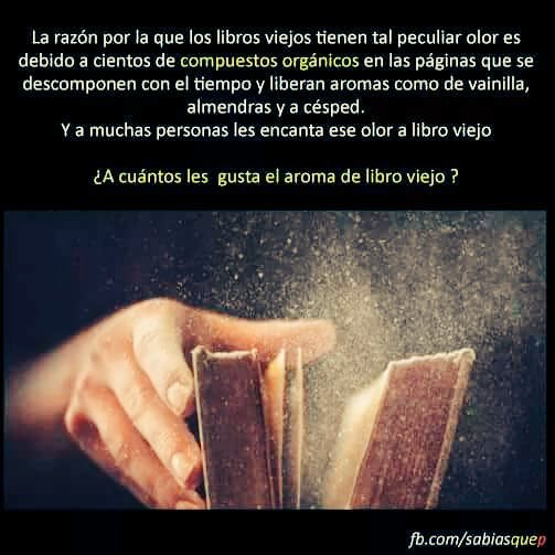MiroslavaES's tweet photo. 󾌧󾌧Amo el aroma de los libros viejos!!!!󾬐󾬐 #BuenSabado #aimelelivre  󾌬 https://t.co/UNDA637Km2 https://t.co/gtmCjfAuSm