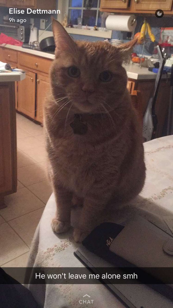 RyRyMuffinCakes's tweet photo. Help a boy out and get this to 50k retweets so I can take Henry to prom https://t.co/QTatUvktaf
