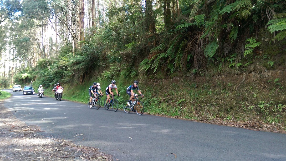 The break is looking comfy! #BawBawClassic