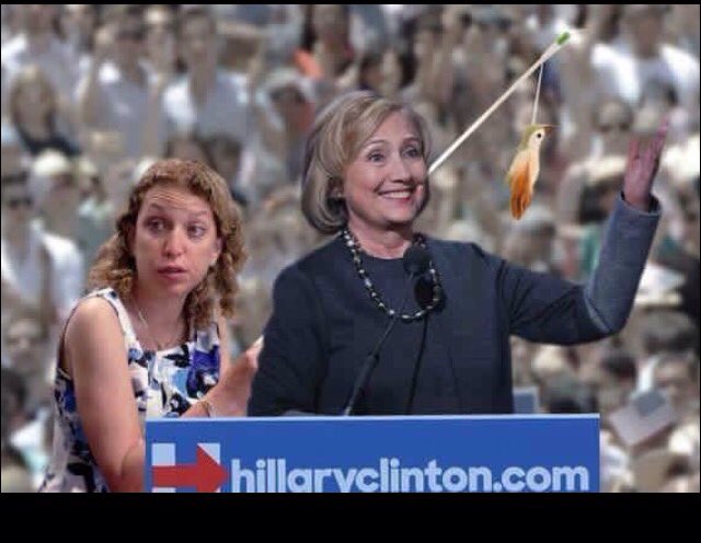justblegit's tweet photo. #FireWassermanSchultz https://t.co/hYnvGJo2fj