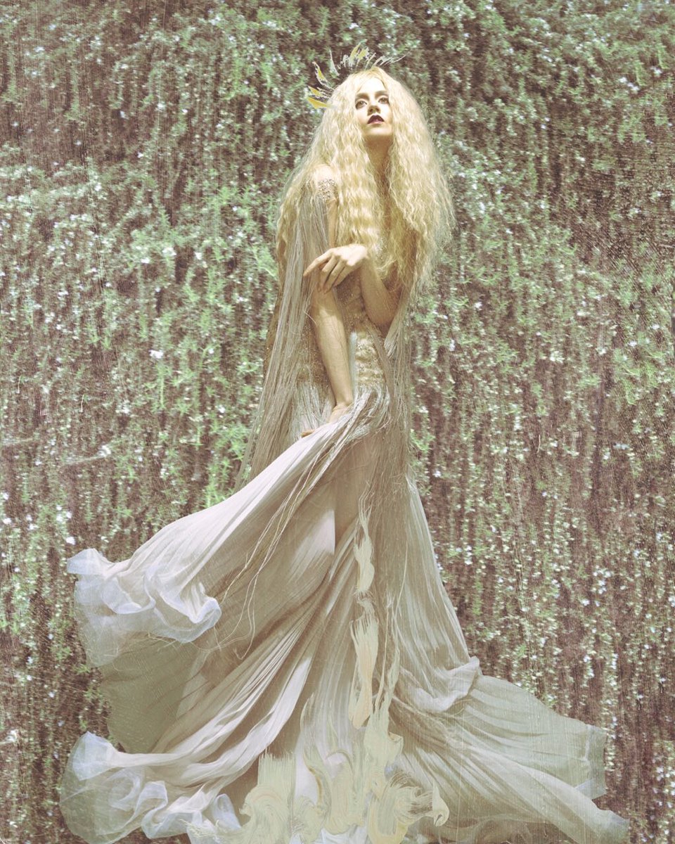 alliharvard's tweet photo. Avant Garden, a series by @FranzSzony ✨✨✨💖 https://t.co/XN22NBln3J