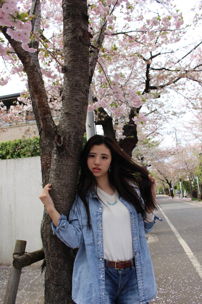 nishimuray0330's tweet photo. 佐々木菜々さん＠studioaya　の個撮。
昨日一昨日の雨で名残桜だけど撮れて良かった！
#モデル #studioaya
#写真好きな人と繋がりたい
#ファインダー越しの私の世界 
#ポートレート
#桜ポトレ
#被写体募集 https://t.co/KFSffK9BCj
