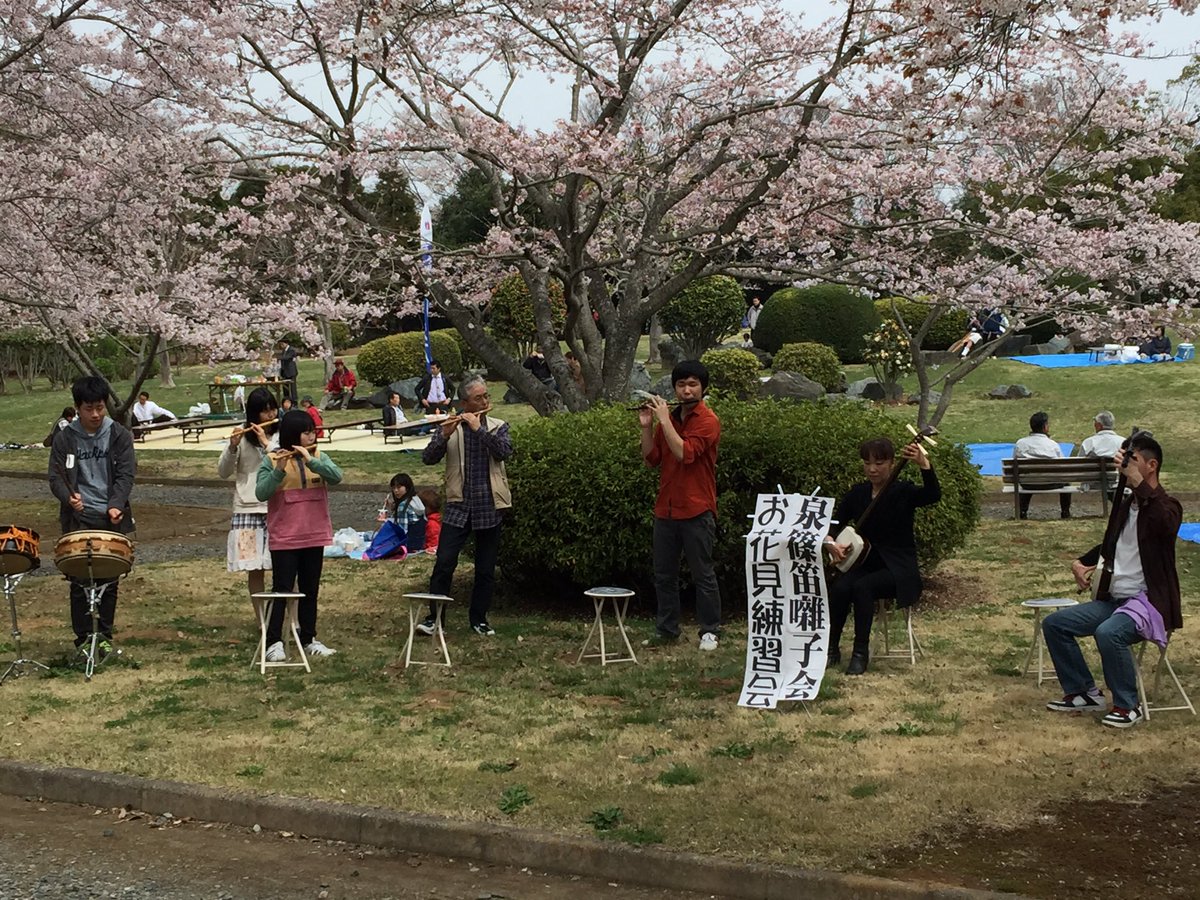 jade8110's tweet photo. 大畑公園でお花見練習会しています！
一回目が終わって、2回目は13時ぐらいかを予定しています！(*^_^*)
桜満開です！ https://t.co/JGskPfujix
