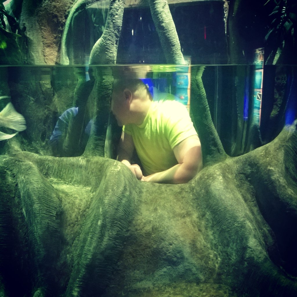 mrspatterson30's tweet photo. Aquarium trip was a success! Everyone had a blast. #FamilyAdventureDay #herefishyfishy #funtimes https://t.co/eMxhbE3hgh