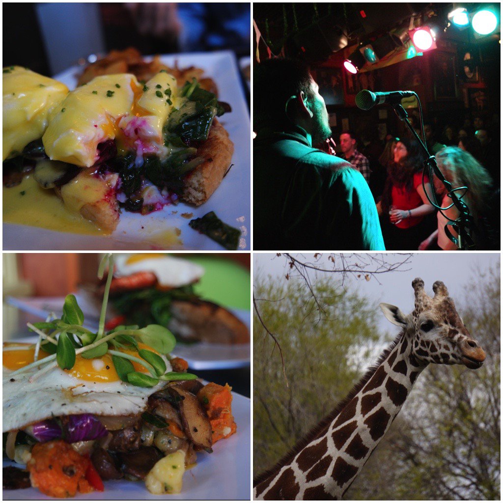 SeattleMaven's tweet photo. How was Boise? My take on Idaho's hub of music, suds and food on the blog: https://t.co/6JOZQWdCJQ @visitidaho https://t.co/AvNl6nU6ZL