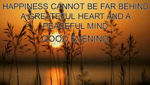 Sheila Roach tweet media