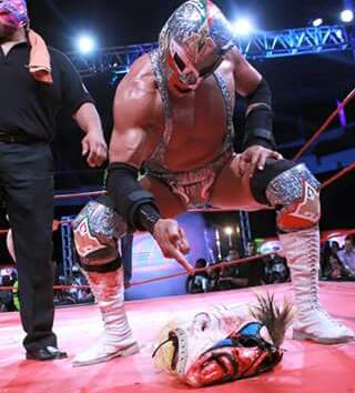 aaa_fansdelucha's tweet photo. @WagnerJrOficial tras la mascara de @Psychooriginal 

#AAACDMX https://t.co/ndkvOTo6sz