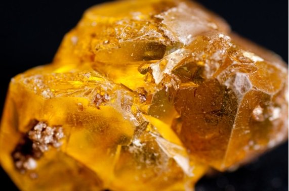 黒色火薬 Twitter Search