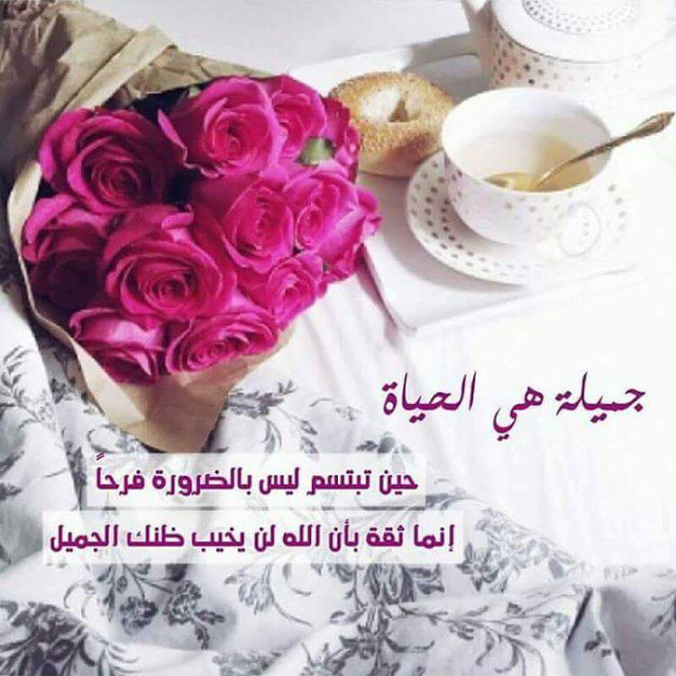 qwertyioig's tweet photo. صباح الخير ..... https://t.co/P1Ji3aFDW0