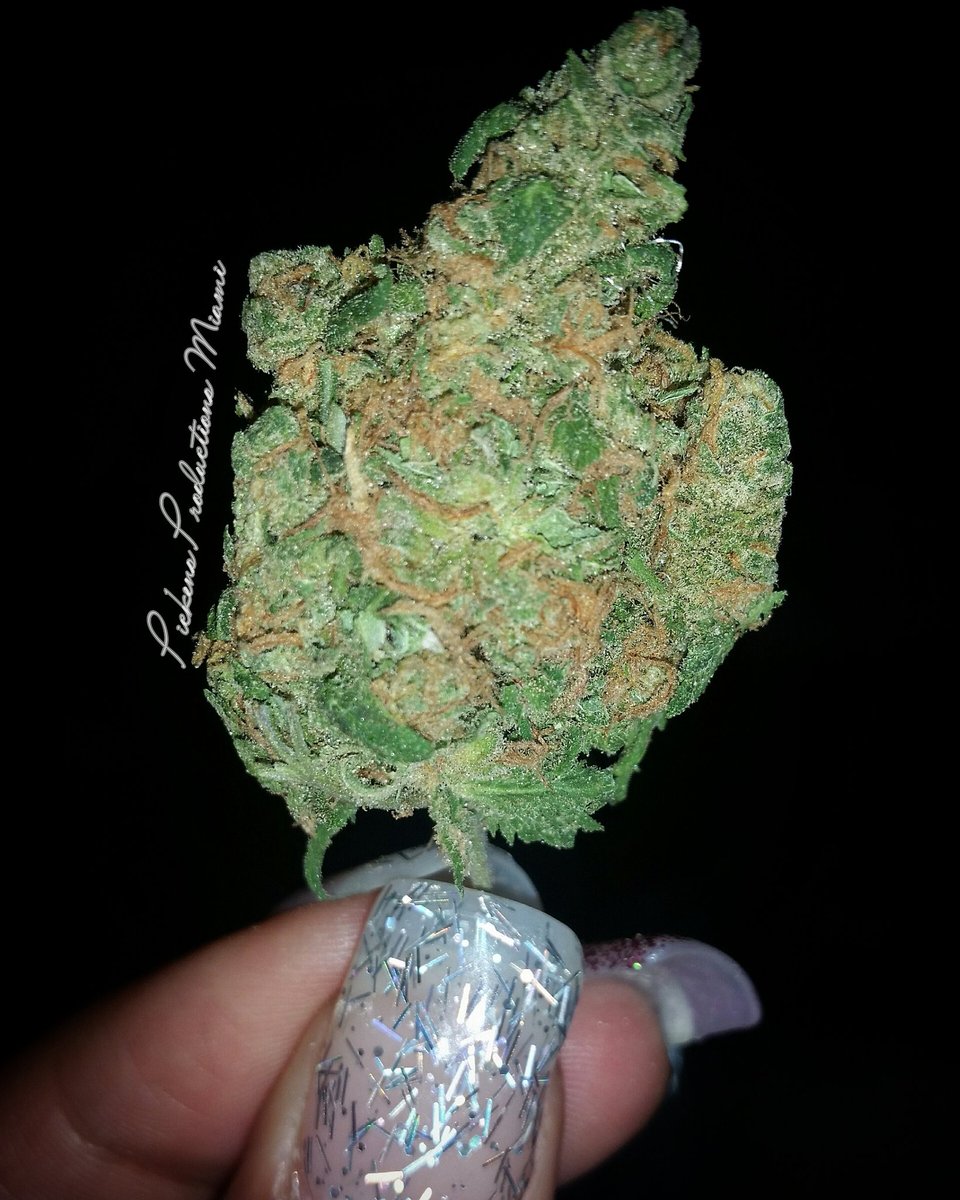PPMiamiLLC's tweet photo. Gas! Gas! Gas! 
Photocred: Pickens Productions Miami
#loudpack https://t.co/XfOo3QjYS3