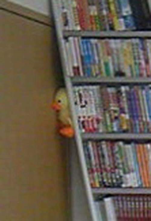 야!!! 내가 버티고 있을께 빨리 사람불러와!!