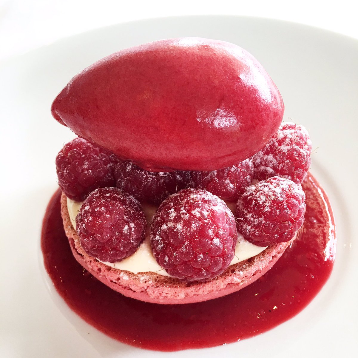 TonoByLacoste's tweet photo. Macaron à la framboise, mousse citron 😋 #traiteur #tonobylacostetraiteur #degustation #mariage #traiteurdefrance https://t.co/03ukUvWfkf