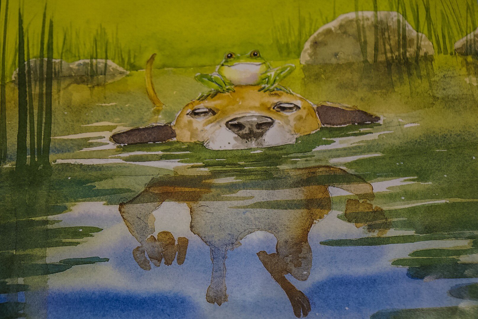 小島秀夫 大好きな絵本 まちのいぬといなかのかえる 飼い犬と野生の蛙 が出逢うところから始まる 春 夏 秋と季節の美しい移り変わり経て 彼らは交友を深める だが冬になると蛙の姿はなく 次の春で物語は終わる せつなくも優しい命とmemeの物語