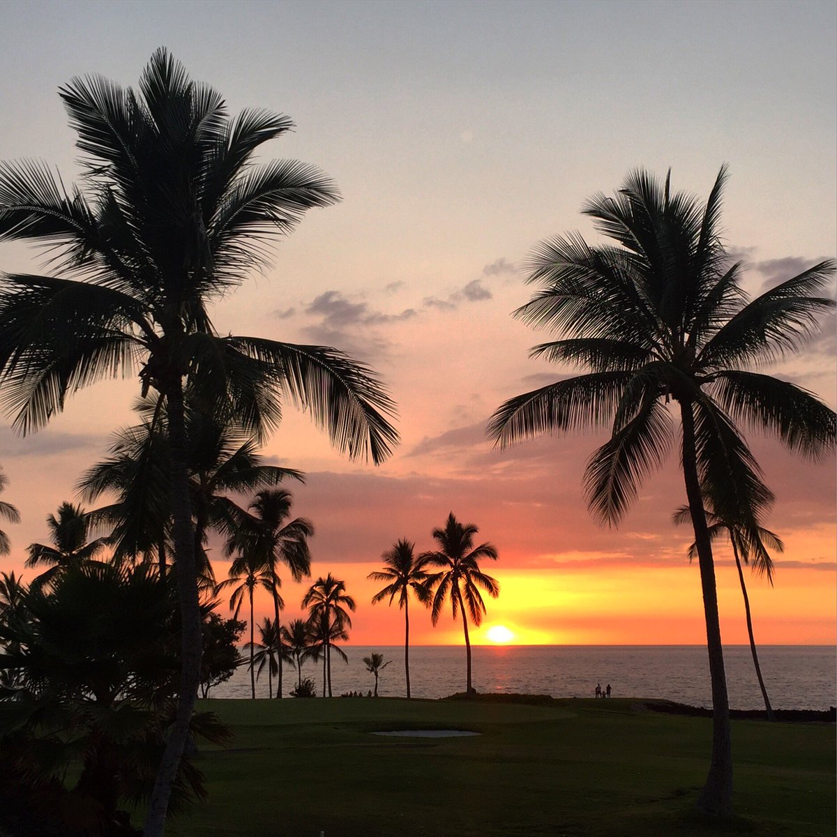Websupportbabe's tweet photo. Tonight's sunset #Hawaii https://t.co/pC03jB2qMA