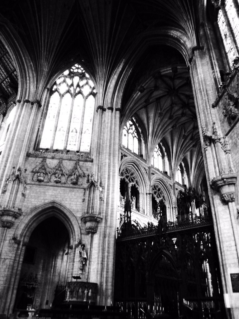 annaesthesic's tweet photo. a painful beauty-gothic architecture https://t.co/o9J2kCcOrY
