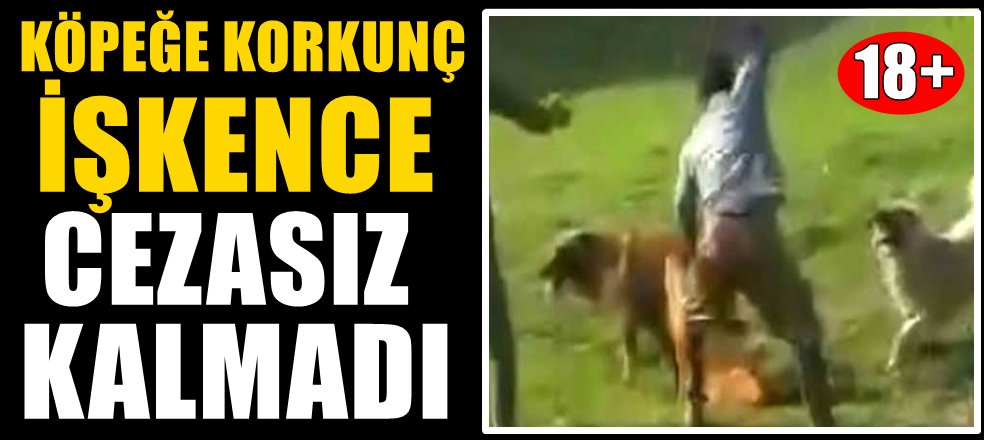 VİDEO - (18+)  Köpeğe kan donduran işkencenin görüntüleri ortaya çıktı!  cumhuriyet.com.tr/video/video_ha…