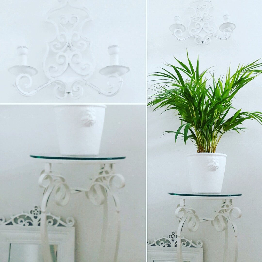 nundkhome's tweet photo. Good morning,  wish you a good. Enjoy the day. #flowers #decoration #shabbychic #garden #vintage #white #aunday https://t.co/Fbl1SXzjLZ