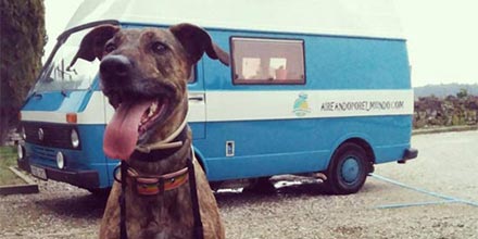 PerroMochilero's tweet photo. Descubra a Olivia,la perrita de #aireandomundo en nuestra sección de otros #Perros #Viajeros
https://t.co/RnVb1TA3AZ https://t.co/1SdY8cqTs2