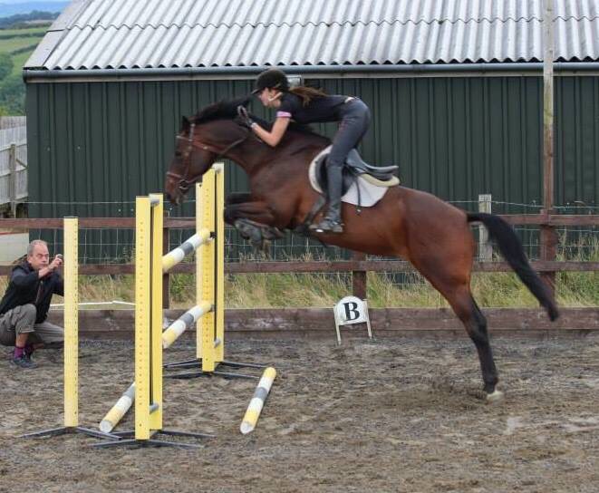 ShatakshiPurari's tweet photo. Practice before the D day. 🏇🏻 Love you, Verona!💋🐎 #EquestrianOrder #HorseRiding #EquestrianLife #OnAMission https://t.co/CmlD68talo