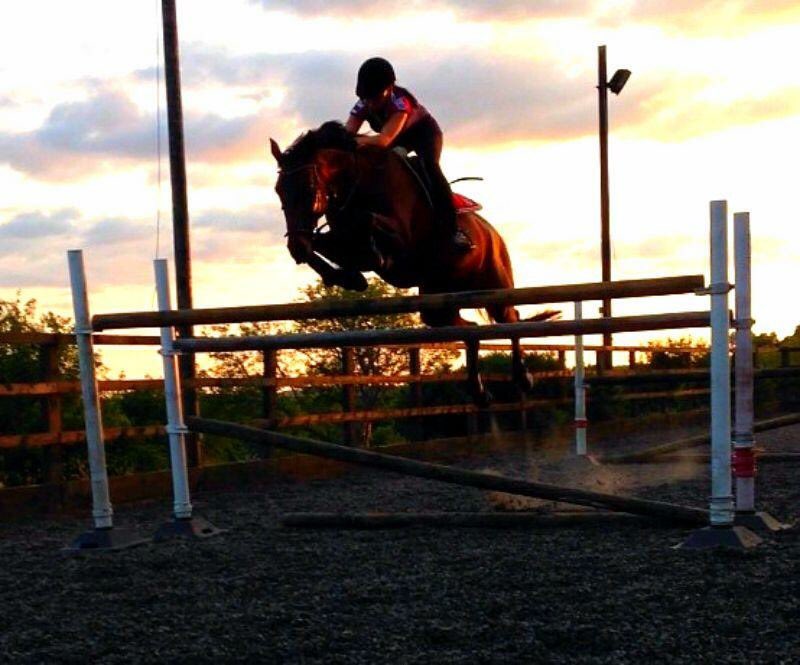 ShatakshiPurari's tweet photo. Practice before the D day. 🏇🏻 Love you, Verona!💋🐎 #EquestrianOrder #HorseRiding #EquestrianLife #OnAMission https://t.co/CmlD68talo