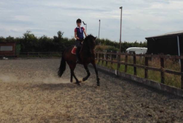 ShatakshiPurari's tweet photo. Practice before the D day. 🏇🏻 Love you, Verona!💋🐎 #EquestrianOrder #HorseRiding #EquestrianLife #OnAMission https://t.co/CmlD68talo