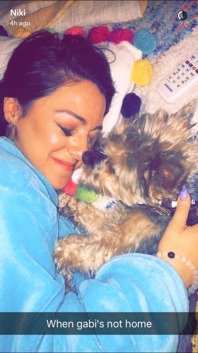 gabcake's tweet photo. oh my god why do i have the cuter dog ever. https://t.co/qtmJ9ZyFKX