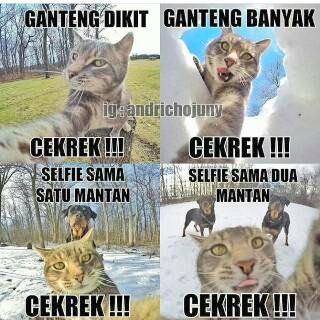 Emang kucing itu ganteng yaa 
Trus punya mantan pacar 
Si anjing pacarnya