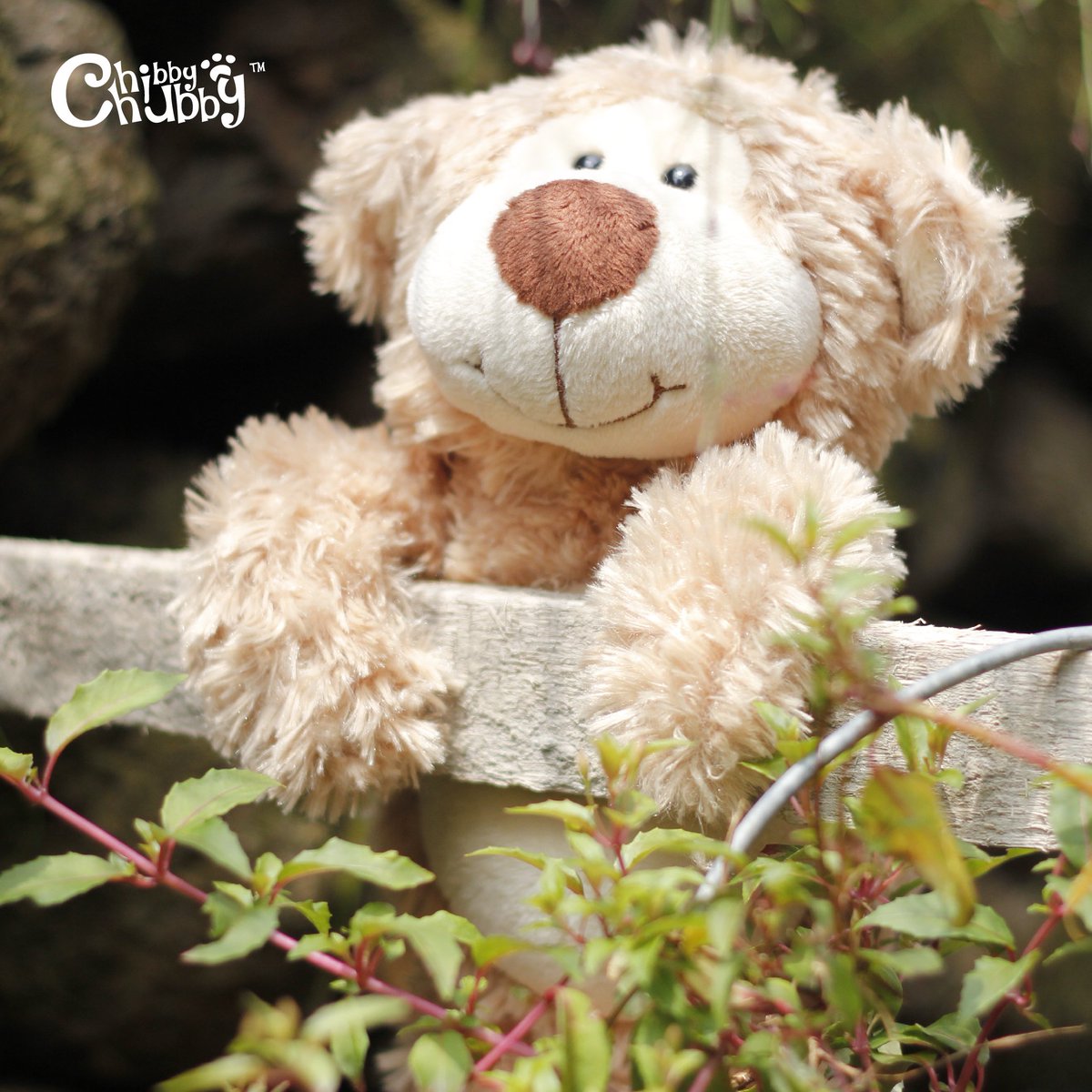 Hi, take me to your wonderful playtime in this afternoon :)