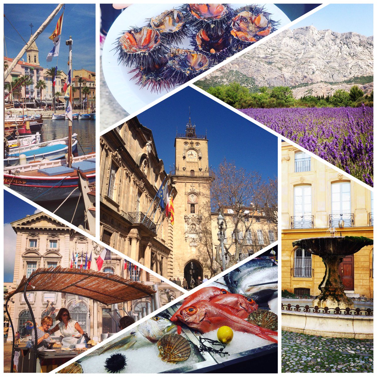 maCigale 🎶☀️ tweet media