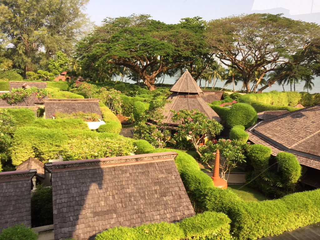 Sarah Rogers tweet media