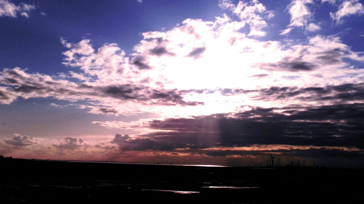 🏞️🐦Outsider π ∞ 📖🖋️🍉✊ tweet media