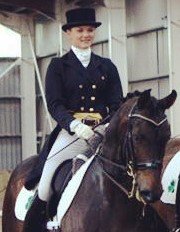 Dressage Ireland tweet media