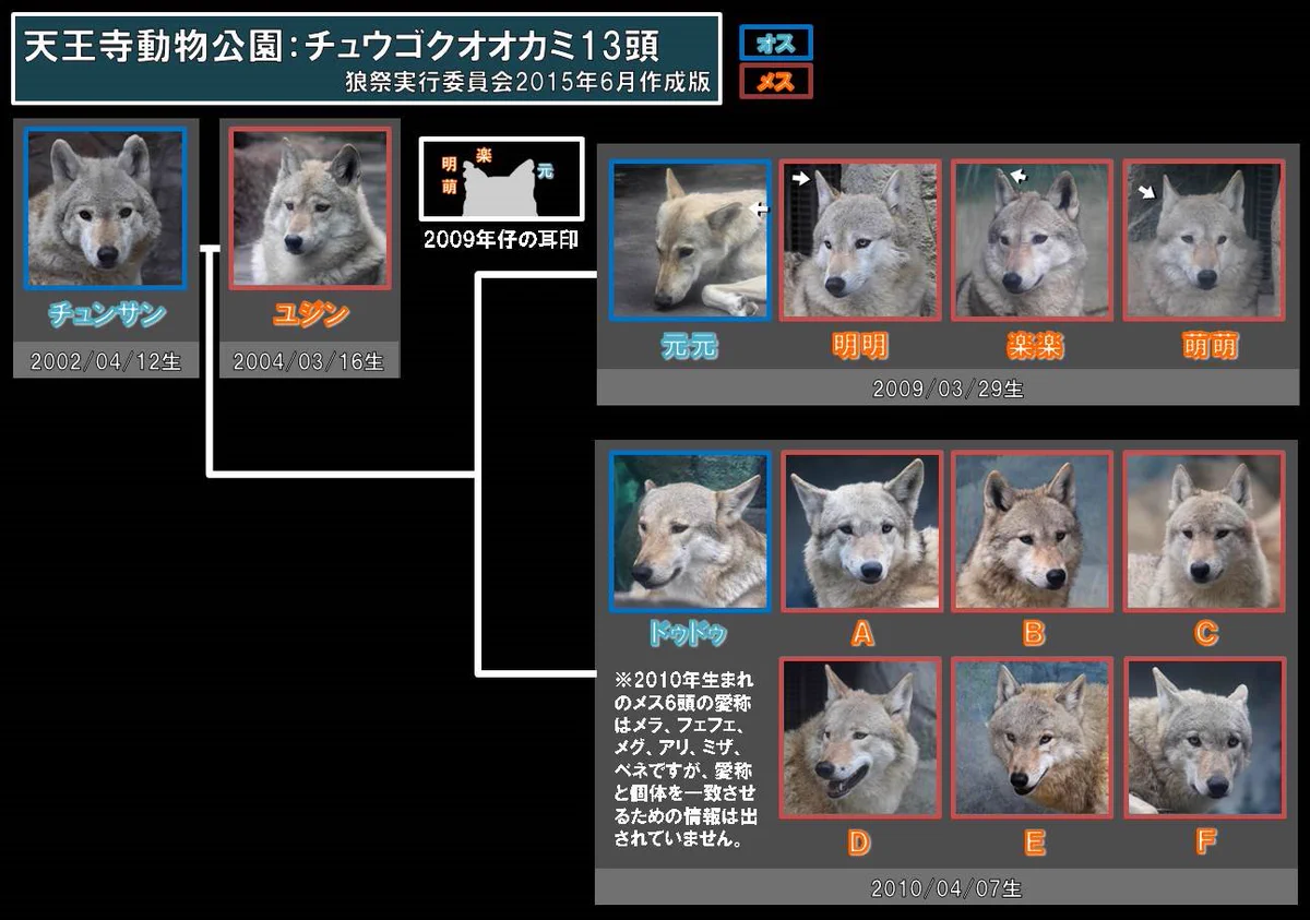 狼祭実行委員 on X: 